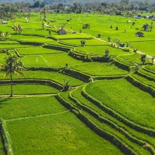 Back to the nature
.
?? by @balidroneproduction
.
#Bali #aerial #aircraft #Indonesia #drone #dji #island #travel #sun #rice #nature #landscape #beautiful #green #summer #countryside #ricefield #riceterrace #airview