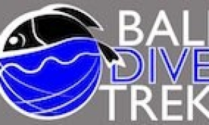 bali-dive-trek-logo-white-black-500x250